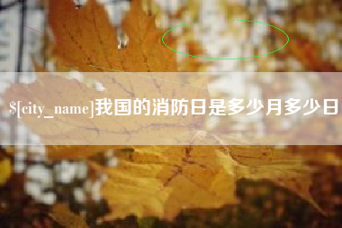 莱阳我国的消防日是多少月多少日