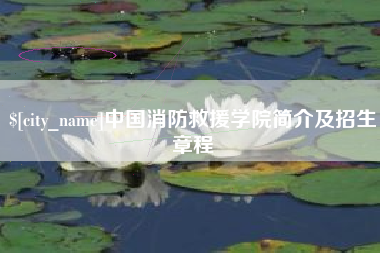 莱阳中国消防救援学院简介及招生章程