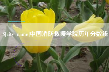 莱阳中国消防救援学院历年分数线