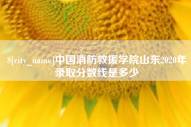 莱阳中国消防救援学院山东2020年录取分数线是多少