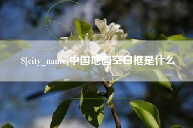 莱阳中国地图空白框是什么
