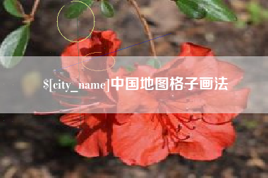 莱阳中国地图格子画法