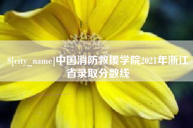 莱阳中国消防救援学院2021年浙江省录取分数线