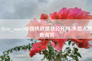 莱阳中国执政信息公开网-失信人员查询页