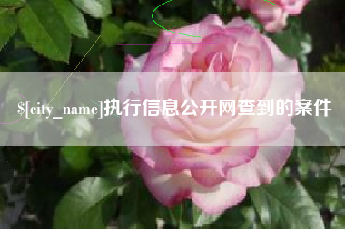 莱阳执行信息公开网查到的案件