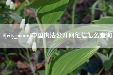 莱阳中国执法公开网征信怎么查询