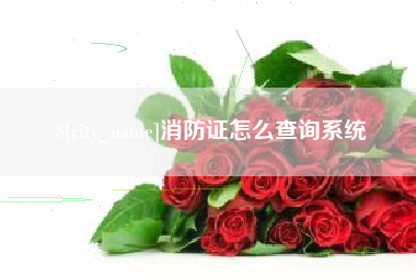 莱阳消防证怎么查询系统