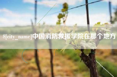 莱阳中国消防救援学院在那个地方
