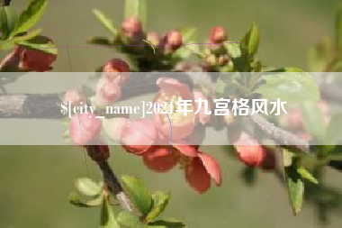 莱阳2021年九宫格风水