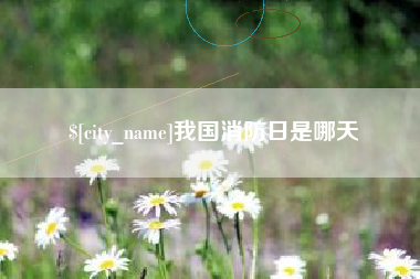 莱阳我国消防日是哪天
