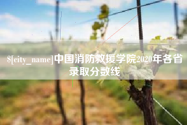 莱阳中国消防救援学院2020年各省录取分数线