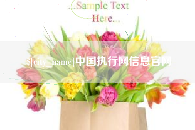 莱阳中国执行网信息官网