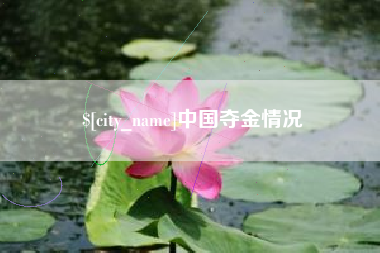 莱阳中国夺金情况