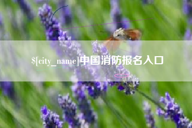 莱阳中国消防报名入口