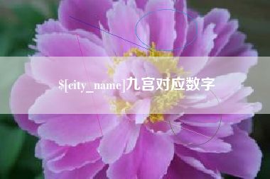 莱阳九宫对应数字