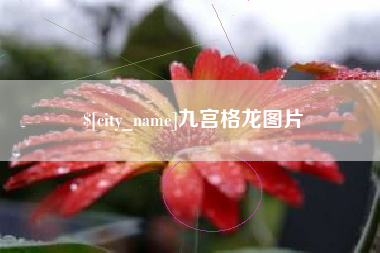 莱阳九宫格龙图片