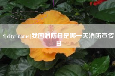 莱阳我国消防日是哪一天消防宣传日