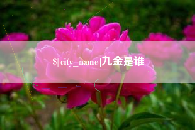 莱阳九金是谁