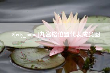 莱阳九宫格位置代表成员图