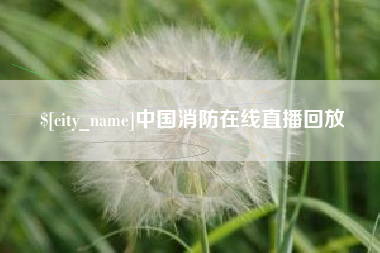 莱阳中国消防在线直播回放