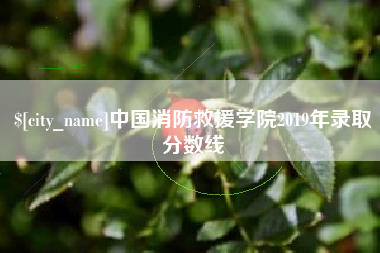 莱阳中国消防救援学院2019年录取分数线