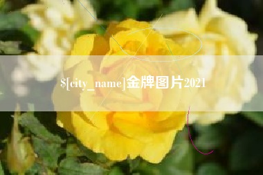 莱阳金牌图片2021