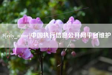 莱阳中国执行信息公开网平台维护