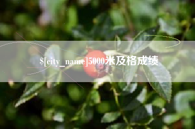 莱阳5000米及格成绩