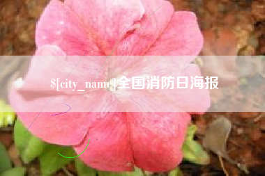莱阳全国消防日海报