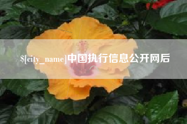 莱阳中国执行信息公开网后