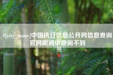 莱阳中国执行信息公开网信息查询官网限消中查询不到