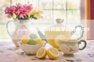 莱阳中国消防救援学院分数2020