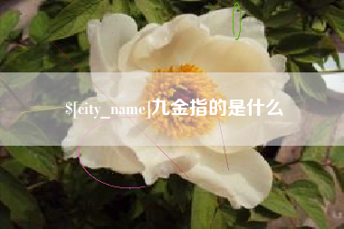 莱阳九金指的是什么
