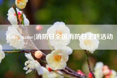 莱阳消防日全国消防日主题活动