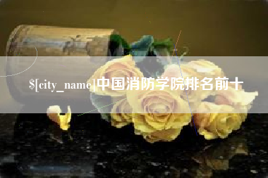 莱阳中国消防学院排名前十