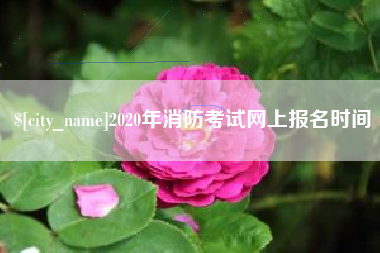 莱阳2020年消防考试网上报名时间