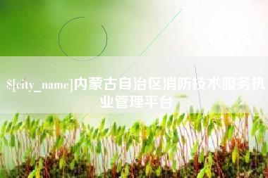 莱阳内蒙古自治区消防技术服务执业管理平台