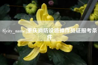 莱阳重庆消防设施操作员证报考条件