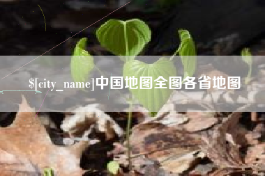 莱阳中国地图全图各省地图