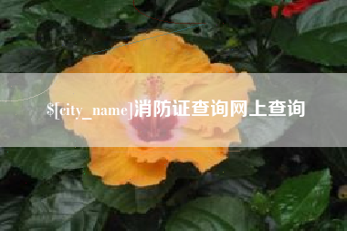 莱阳消防证查询网上查询