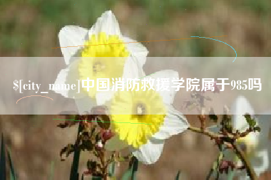 莱阳中国消防救援学院属于985吗
