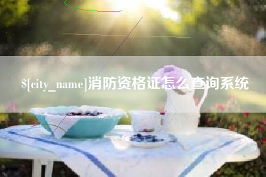 莱阳消防资格证怎么查询系统