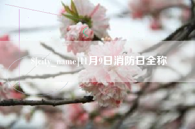 莱阳11月9日消防日全称