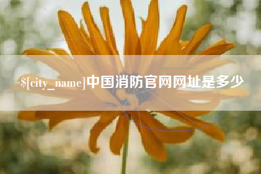 莱阳中国消防官网网址是多少