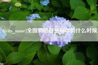 莱阳全国消防日是每年的什么时候