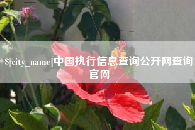 莱阳中国执行信息查询公开网查询官网