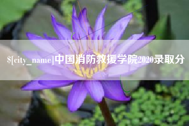 莱阳中国消防救援学院2020录取分