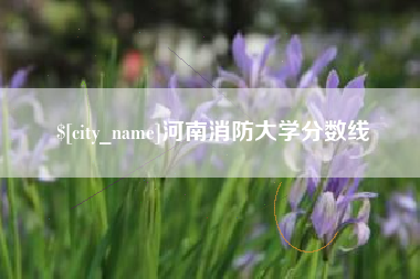 莱阳河南消防大学分数线