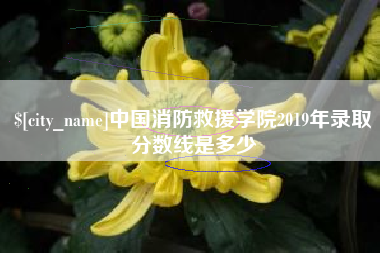 莱阳中国消防救援学院2019年录取分数线是多少