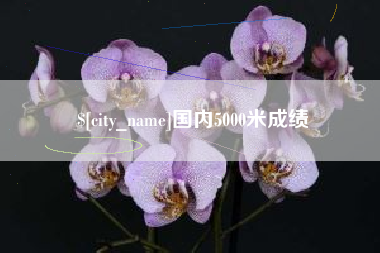 莱阳国内5000米成绩